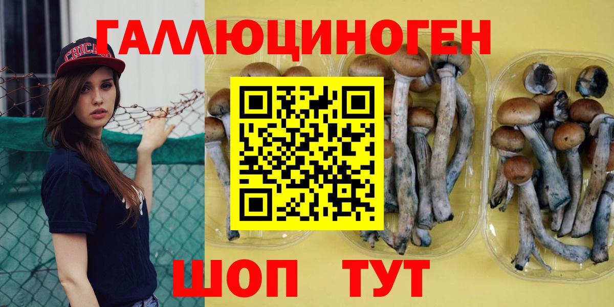 Псилоцибиновые грибы мухоморы  Вход с VPN  Котлас 